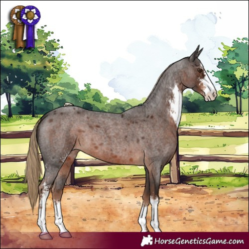 Horse Color:Liver Red Roan Sabino