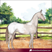 Horse Color:Red Dun Near Fewspot 