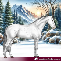 Horse Color:Black Sabino 