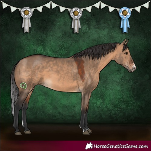 Horse Color:Brown Dun Sabino