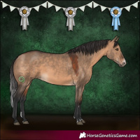 Horse Color:Brown Dun Sabino 