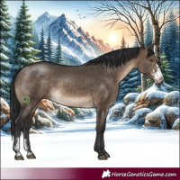 Horse Color:Brown Dun Sabino