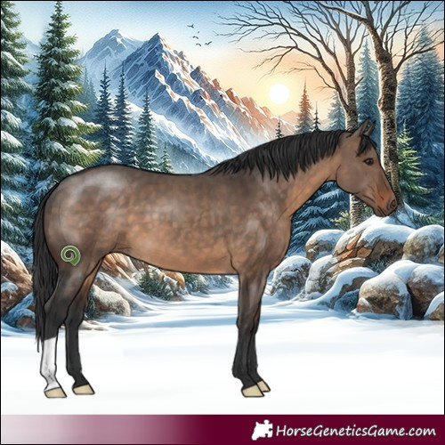 Horse Color:Brown Dun 