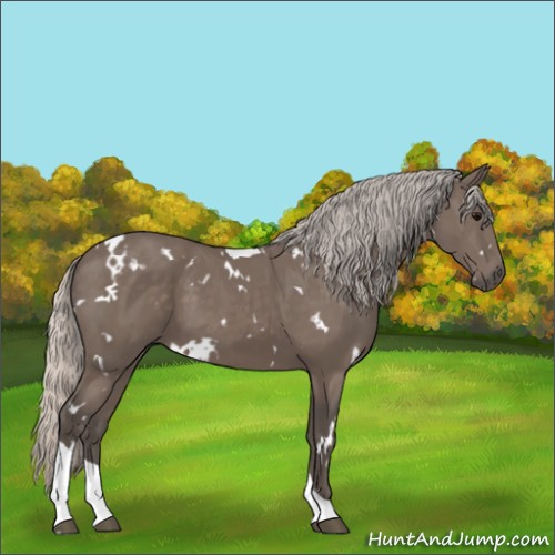 Horse Color:White Spotted Silver Black Tobiano 