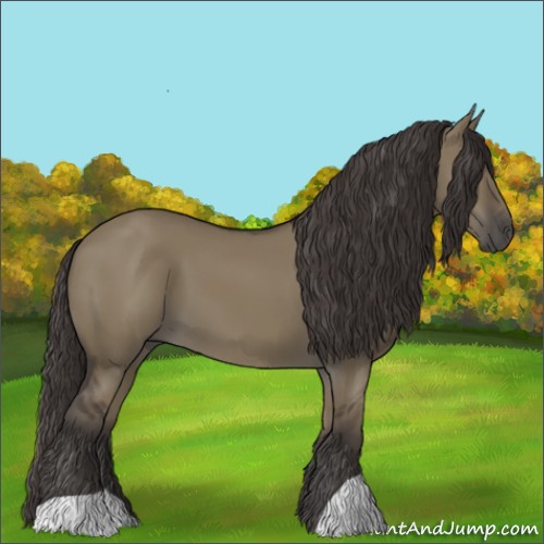 Horse Color:Smoky Grullo