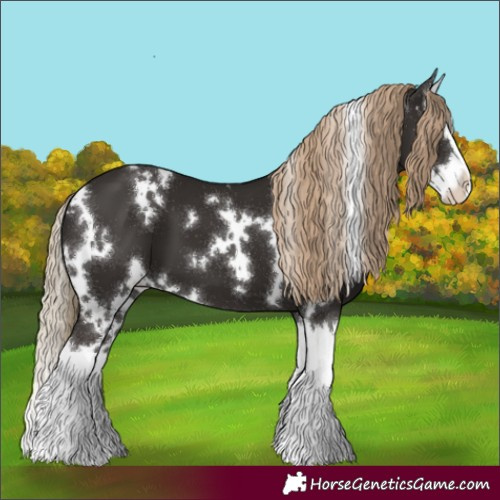 Horse Color:White Spotted Liver Chestnut Splash 