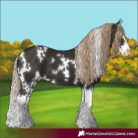 Horse Color:White Spotted Liver Chestnut Splash 