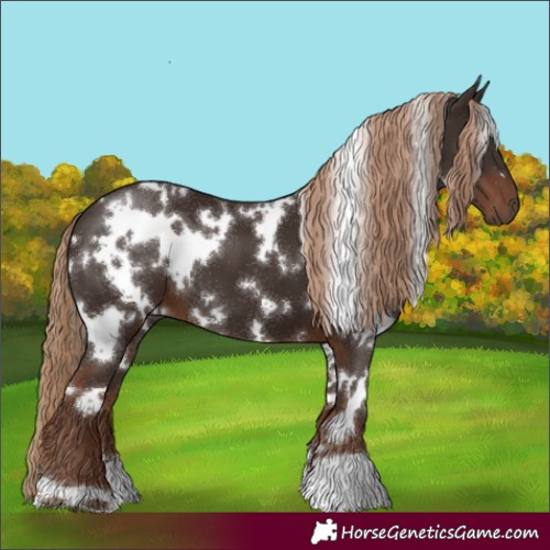 Horse Color:White Spotted Liver Chestnut 