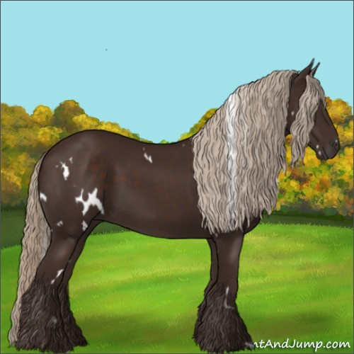 Horse Color:White Spotted Liver Chestnut 