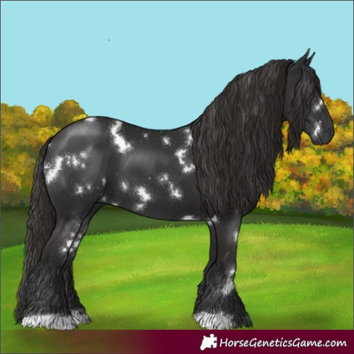 Horse Color:White Spotted Liver Chestnut 