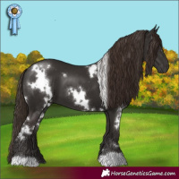 Horse Color:White Spotted Liver Chestnut 
