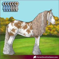 Horse Color:White Spotted Chocolate Palomino Dun Splash 