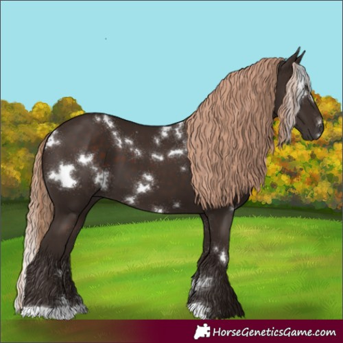 Horse Color:White Spotted Liver Chestnut