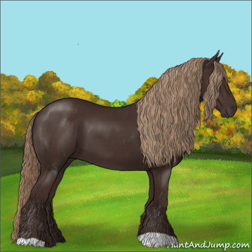 Horse Color:Liver Chestnut 