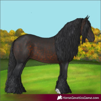 Horse Color:Brown 