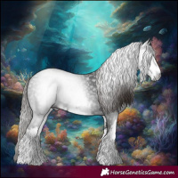 Horse Color:Gray White Spotted Liver Chestnut 