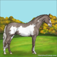 Horse Color:Silver Blue Roan Frame 