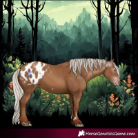 Horse Color:Gray Silver Classic Champagne Appaloosa 