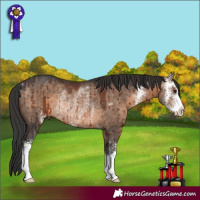 Horse Color:Brown Dun Sabino Rabicano Brindle