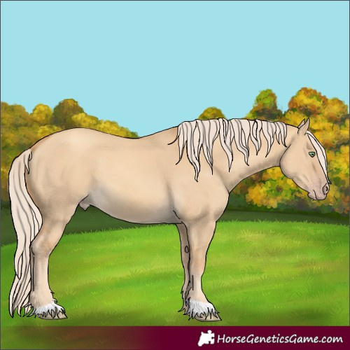 Horse Color:Gold Cream Champagne Dun 