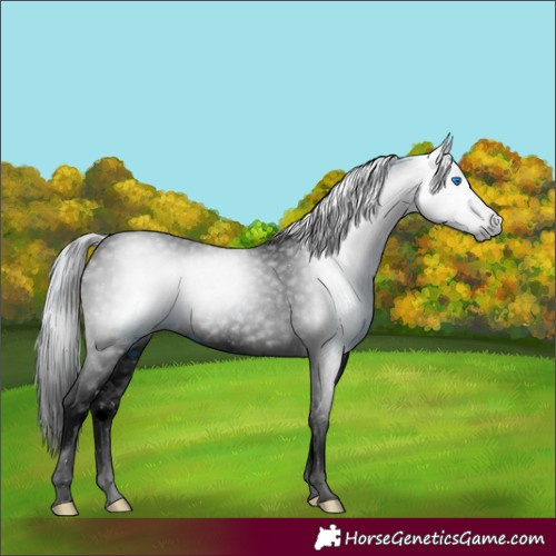 Horse Color:ERROR: UNKNOWN ANOMALY