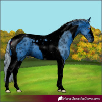 Horse Color:ERROR: UNKNOWN ANOMALY