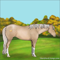 Horse Color:Silver Smoky Black Pearl Sabino Tobiano