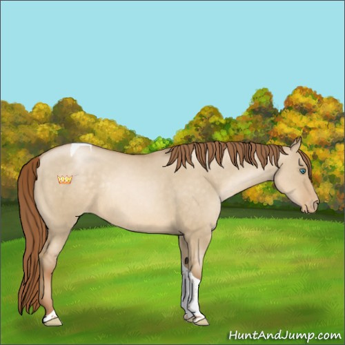 Horse Color:Smoky Grullo Pearl Sabino Tobiano Varnish Rabicano