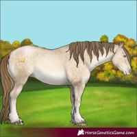 Horse Color:Buckskin Pearl Dun Tobiano Rabicano Brindle