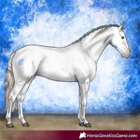 Horse Color:Chestnut Sabino