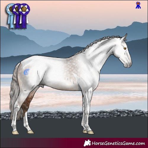 Horse Color:Gray Bay Pearl Tobiano 