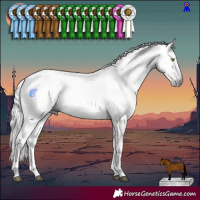 Horse Color:Gray Bay Tobiano 