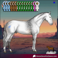 Horse Color:Gray Bay Tobiano 