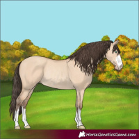 Horse Color:Amber Champagne Dun Rabicano