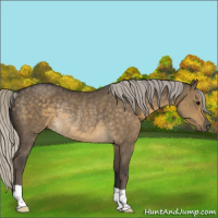 Horse Color:Silver Smoky Grullo Rabicano 