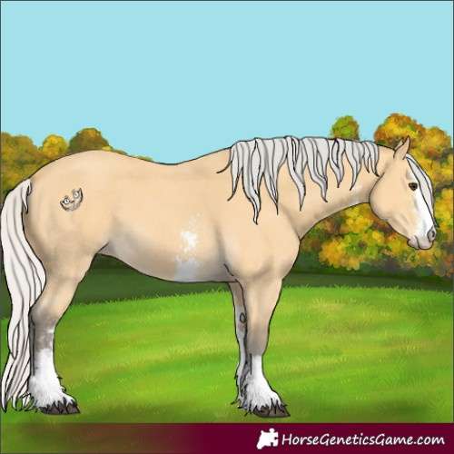 Horse Color:Silver Buckskin Sabino 