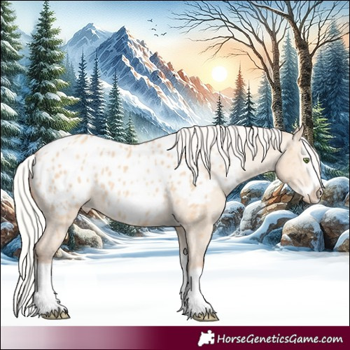 Horse Color:Silver Amber Champagne Dun Splash Frame Appaloosa 