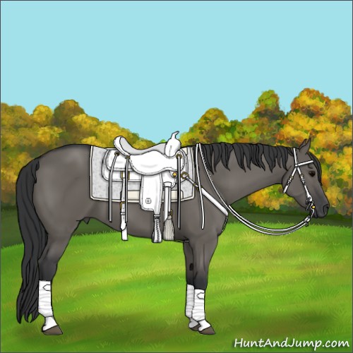 Horse Color:Grullo Sabino 