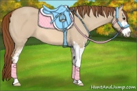 Horse Color:Red Dun Sabino 