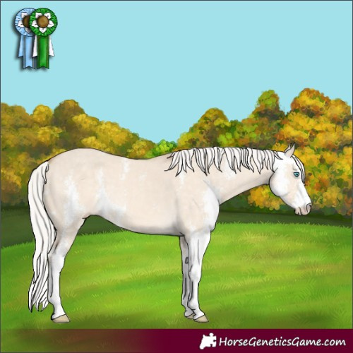 Horse Color:Silver Perlino Dun Sabino 