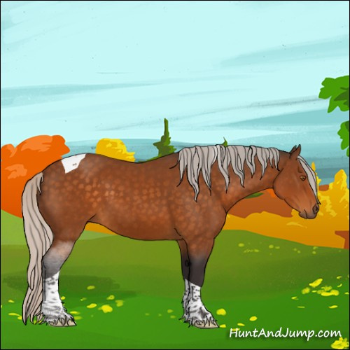 Horse Color:Silver Buckskin Sabino Tobiano