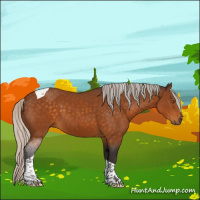 Horse Color:Silver Buckskin Sabino Tobiano 