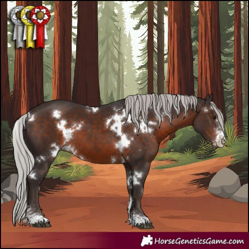 Horse Color:White Spotted Silver Brown Sabino 