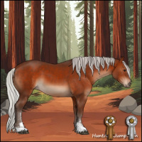 Horse Color:Silver Bay Sabino