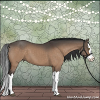 Horse Color:Brown Dun Splash 