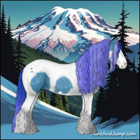 Horse Color:Painted Watercolor Black Splash Tobiano