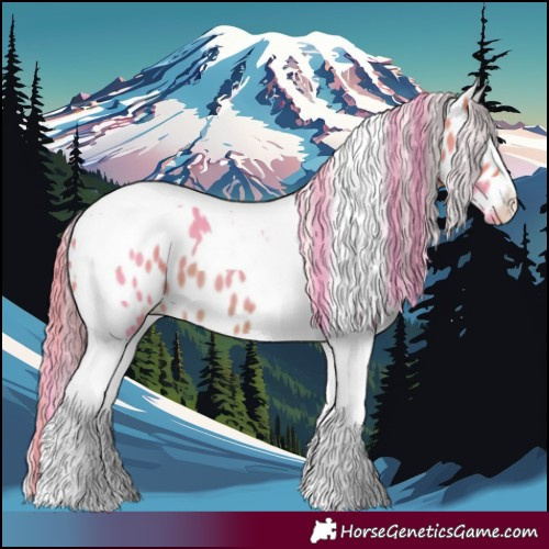 Horse Color:Watercolor Buckskin Tobiano Appaloosa 