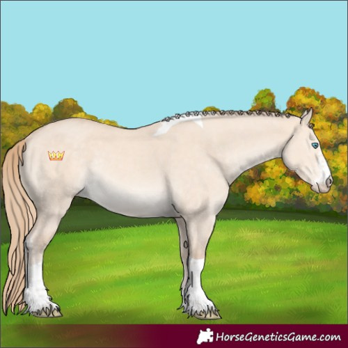 Horse Color:Perlino Dun Sabino Tobiano Rabicano