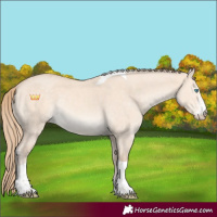 Horse Color:Perlino Dun Sabino Tobiano Rabicano 