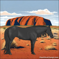 Horse Color:Black 
